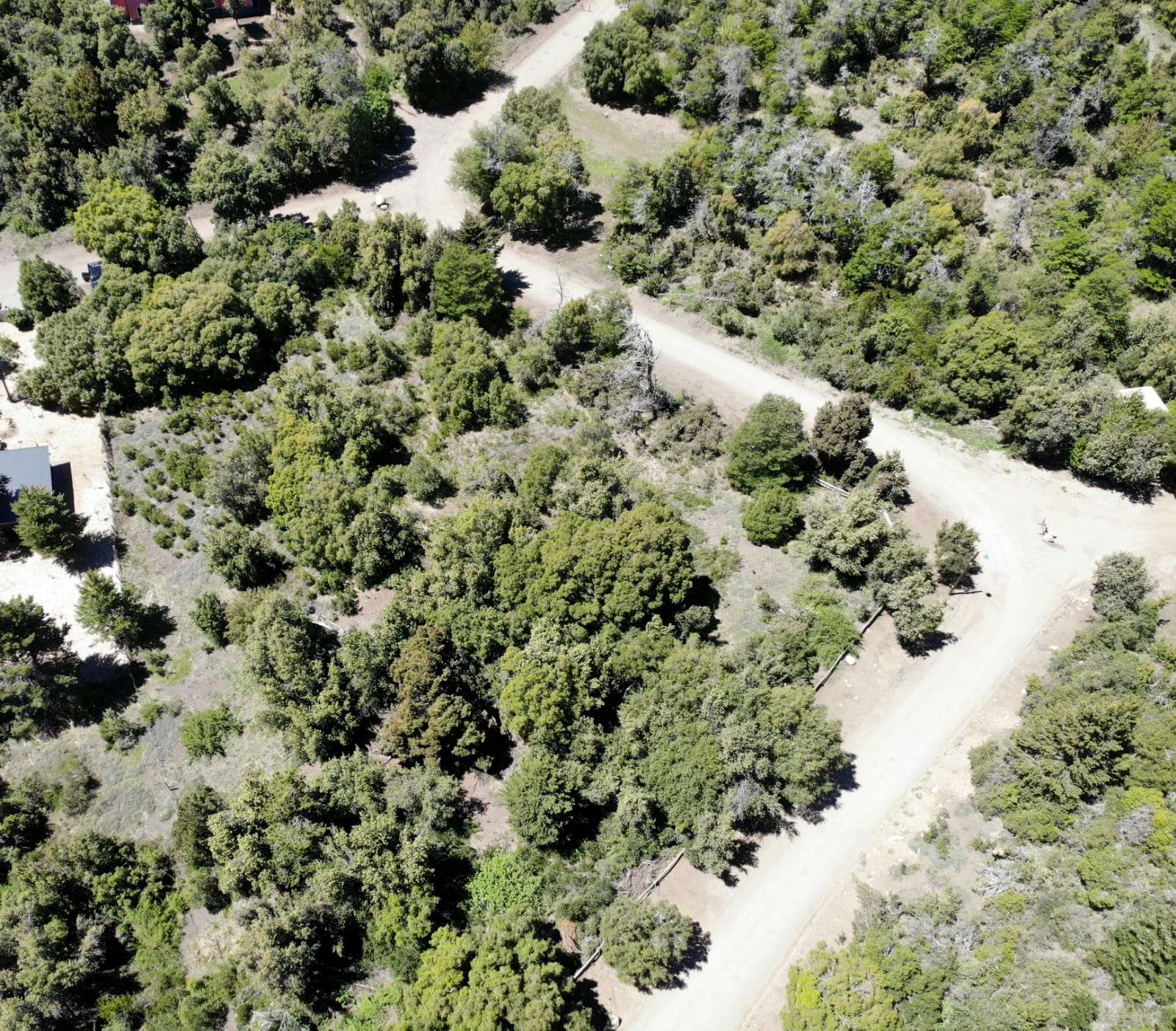 Lotes En Venta En La Reserva Alta, San Martín De Los Andes, Neuquén, Patagonia Argentina