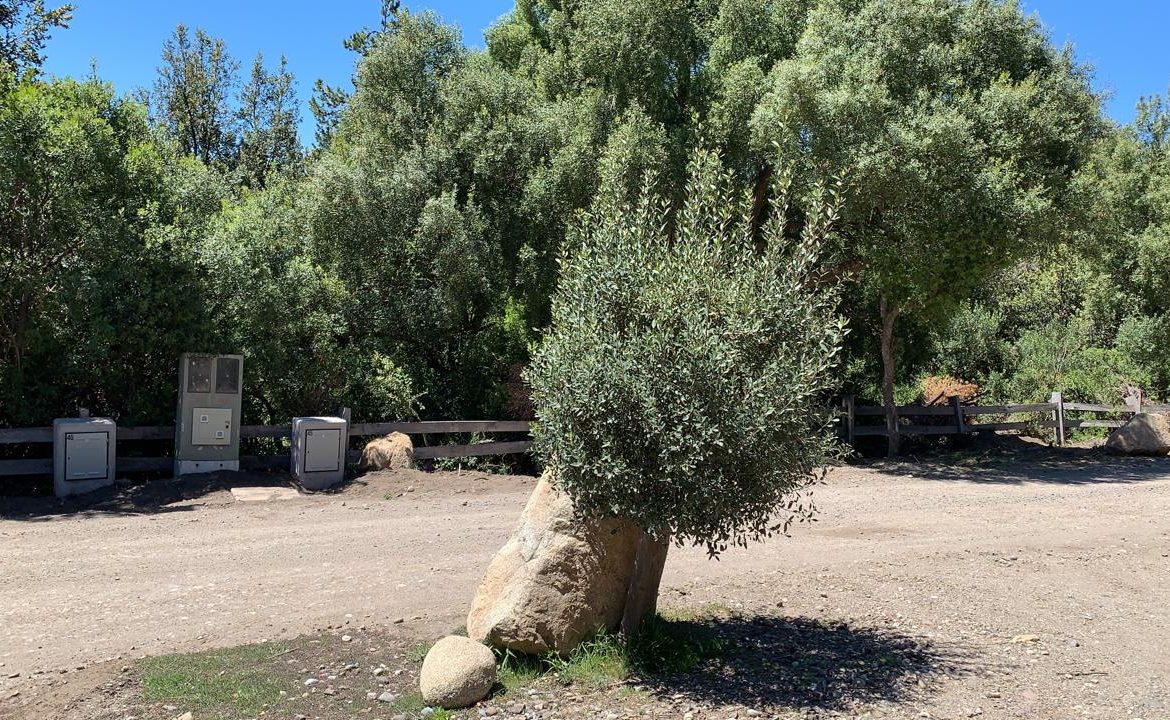 Lotes En Venta En La Reserva Alta, San Martín De Los Andes, Neuquén, Patagonia Argentina