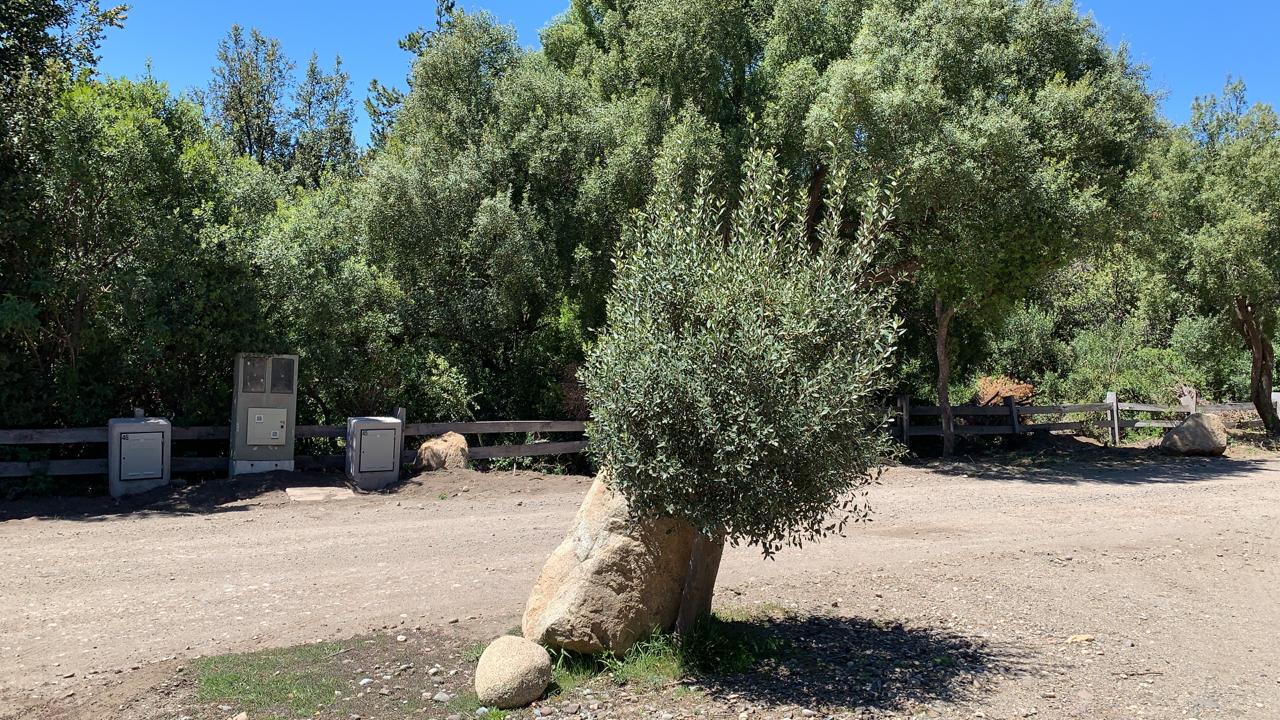 Lotes En Venta En La Reserva Alta, San Martín De Los Andes, Neuquén, Patagonia Argentina