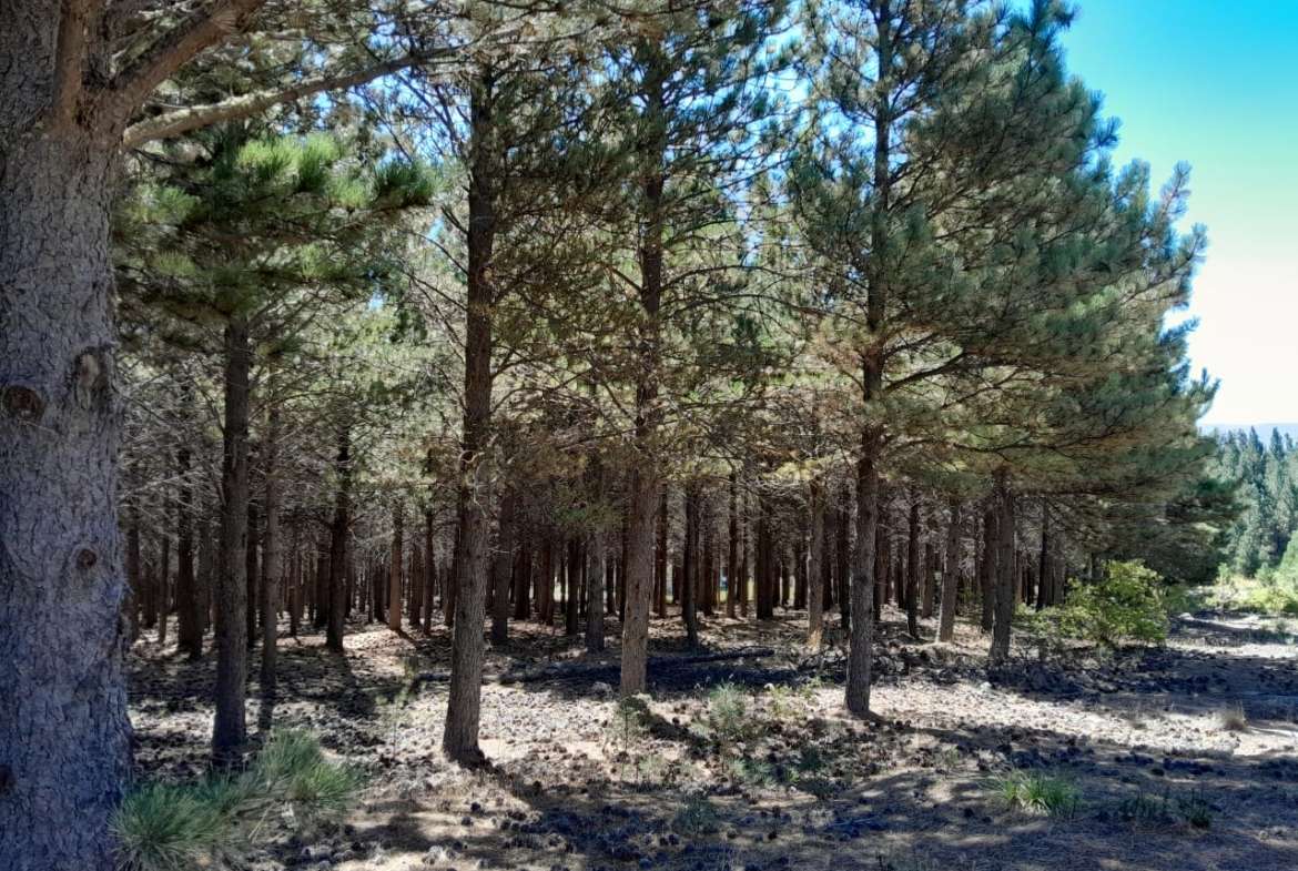 Lote Terreno En San Martin De Los Andes, El Desafío Mountain Resort, Neuquén, Patagonia Argentina