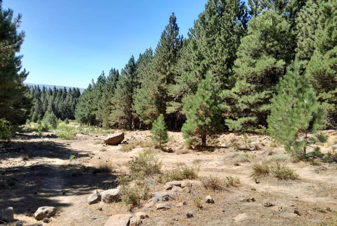 Lote Terreno En San Martin De Los Andes, El Desafío Mountain Resort, Neuquén, Patagonia Argentina