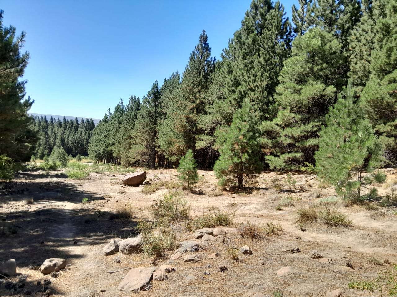 Lote Terreno En San Martin De Los Andes, El Desafío Mountain Resort, Neuquén, Patagonia Argentina