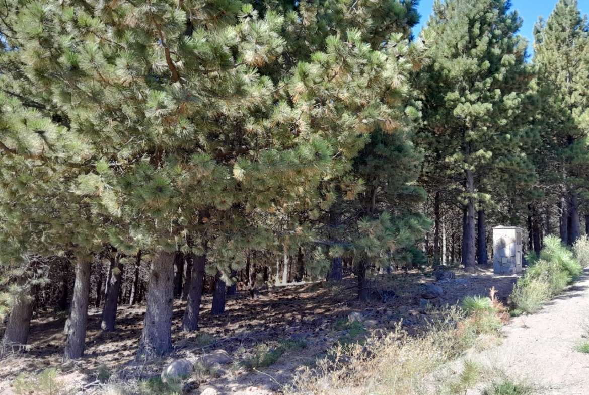 Lote Terreno En San Martin De Los Andes, El Desafío Mountain Resort, Neuquén, Patagonia Argentina