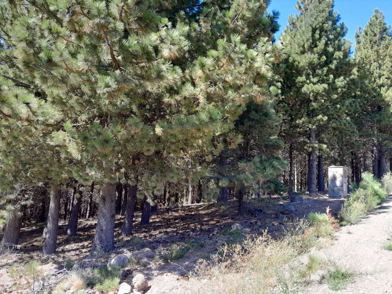 Lote Terreno En San Martin De Los Andes, El Desafío Mountain Resort, Neuquén, Patagonia Argentina