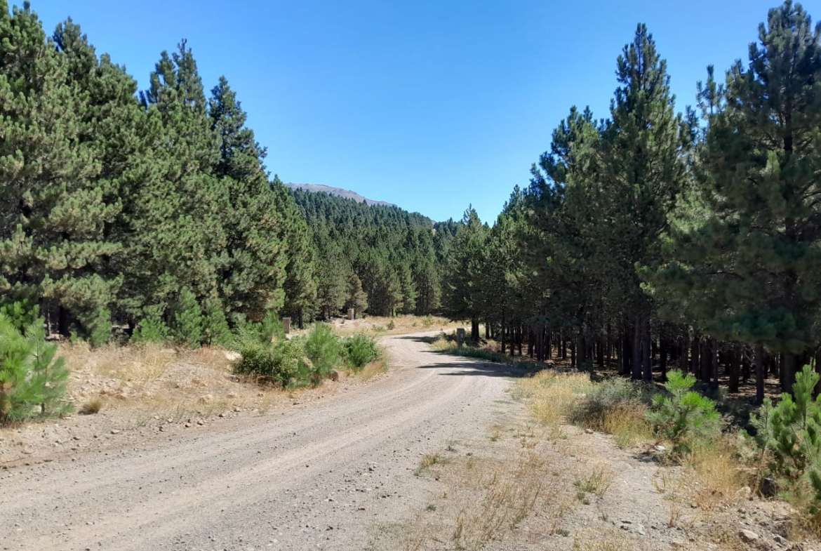 Lote Terreno En San Martin De Los Andes, El Desafío Mountain Resort, Neuquén, Patagonia Argentina