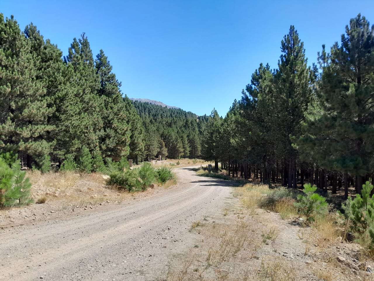 Lote Terreno En San Martin De Los Andes, El Desafío Mountain Resort, Neuquén, Patagonia Argentina