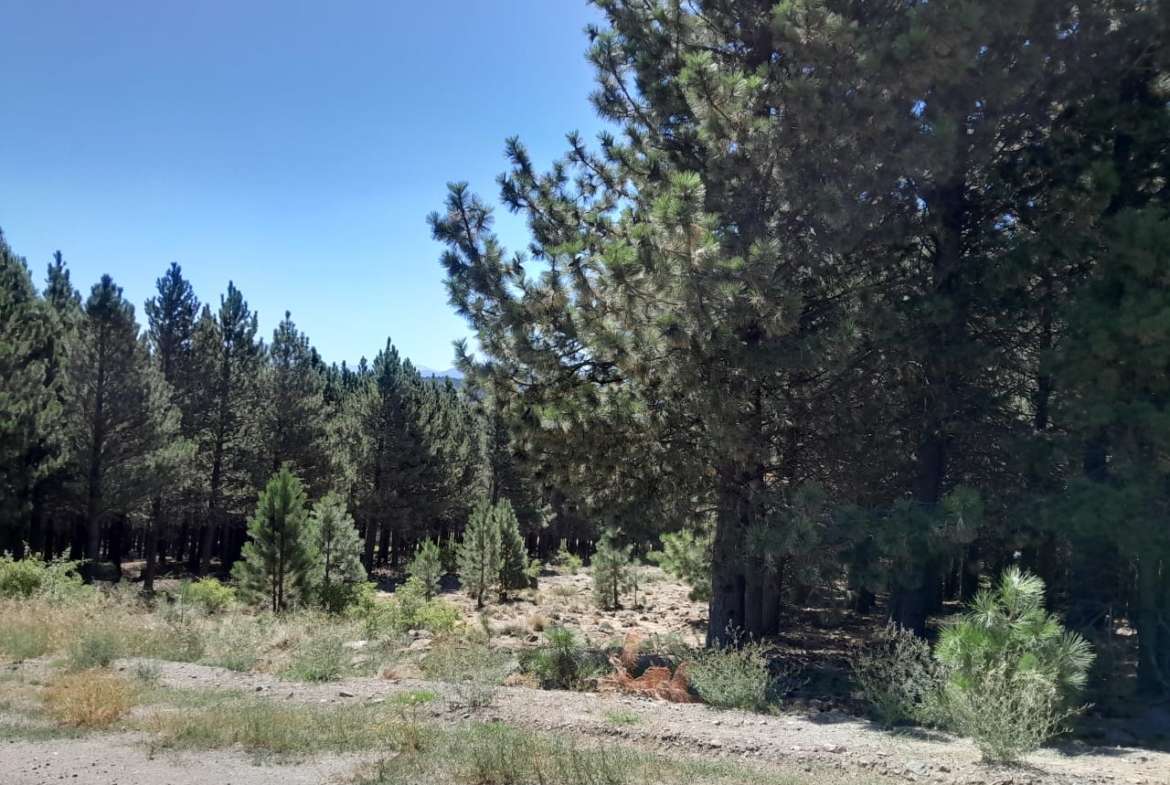 Lote Terreno En San Martin De Los Andes, El Desafío Mountain Resort, Neuquén, Patagonia Argentina