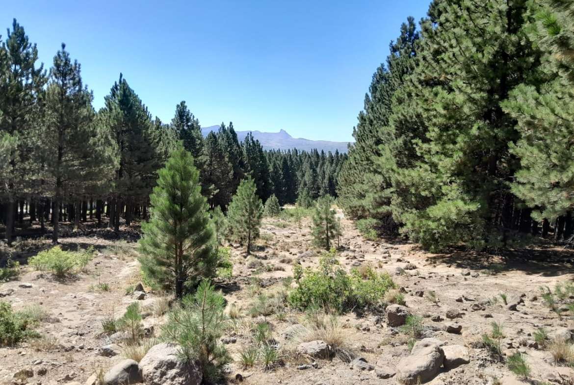 Lote Terreno En San Martin De Los Andes, El Desafío Mountain Resort, Neuquén, Patagonia Argentina