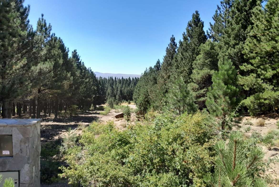 Lote Terreno En San Martin De Los Andes, El Desafío Mountain Resort, Neuquén, Patagonia Argentina