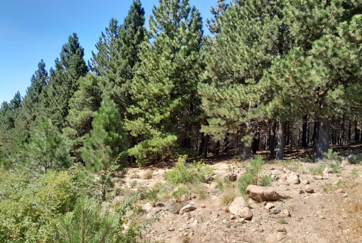 Lote Terreno En San Martin De Los Andes, El Desafío Mountain Resort, Neuquén, Patagonia Argentina