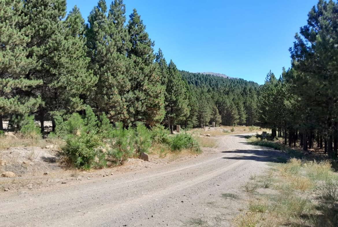 Lote Terreno En San Martin De Los Andes, El Desafío Mountain Resort, Neuquén, Patagonia Argentina