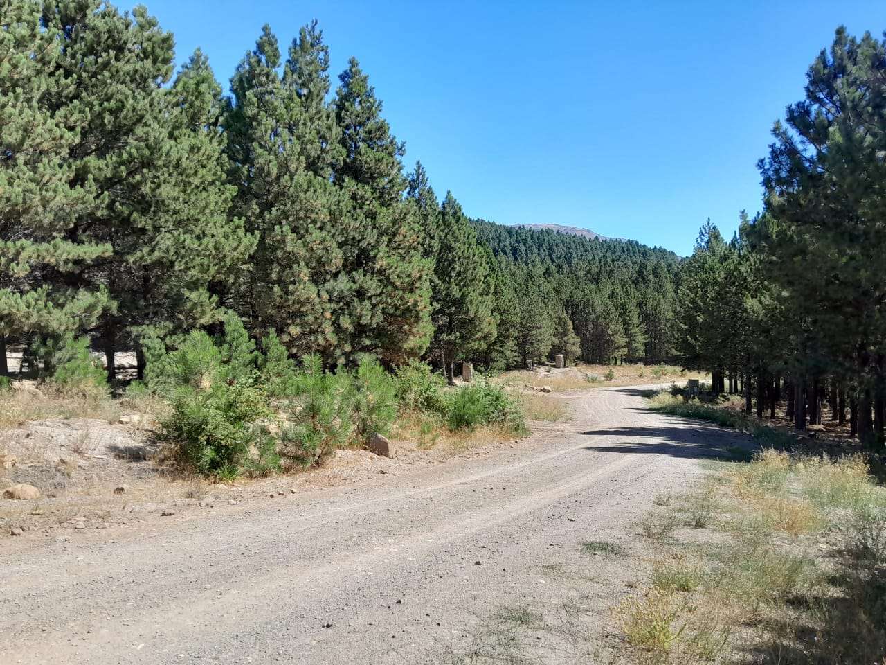 Lote Terreno En San Martin De Los Andes, El Desafío Mountain Resort, Neuquén, Patagonia Argentina