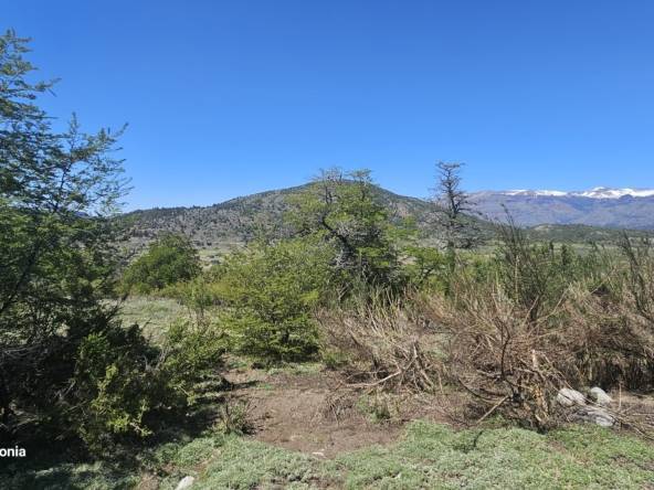 Lote Terreno En San Martín De Los Andes, Estancia Los Ñires, Neuquén, Patagonia Argentina