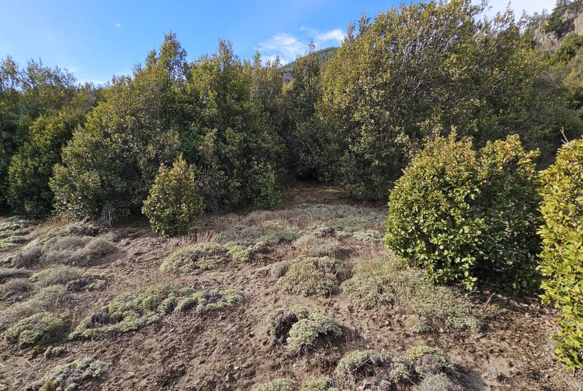 Terreno Lote En Venta En Villa Lago Meliquina, San Martín De Los Andes, Neuquén, Patagonia Argentina