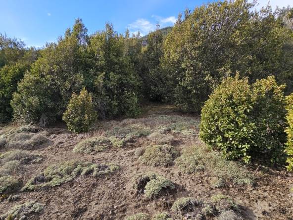Terreno Lote En Venta En Villa Lago Meliquina, San Martín De Los Andes, Neuquén, Patagonia Argentina