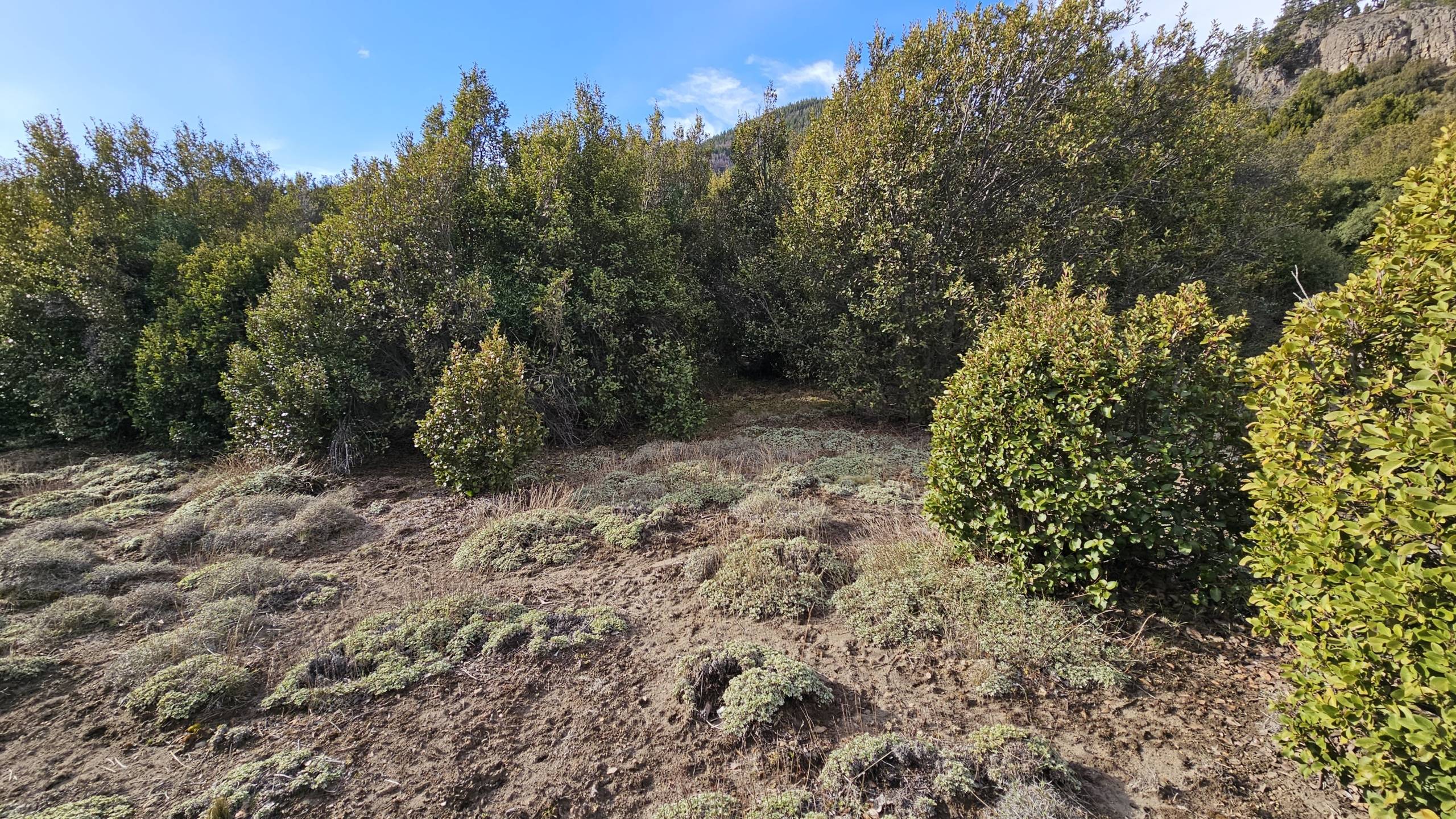 Terreno Lote En Venta En Villa Lago Meliquina, San Martín De Los Andes, Neuquén, Patagonia Argentina