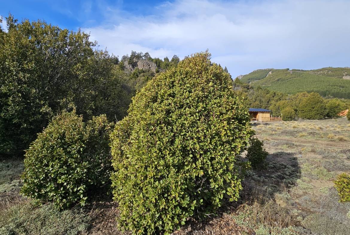 Terreno Lote En Venta En Villa Lago Meliquina, San Martín De Los Andes, Neuquén, Patagonia Argentina