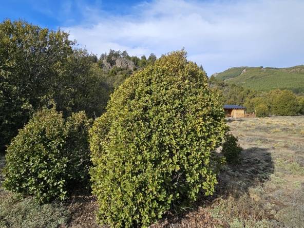 Terreno Lote En Venta En Villa Lago Meliquina, San Martín De Los Andes, Neuquén, Patagonia Argentina