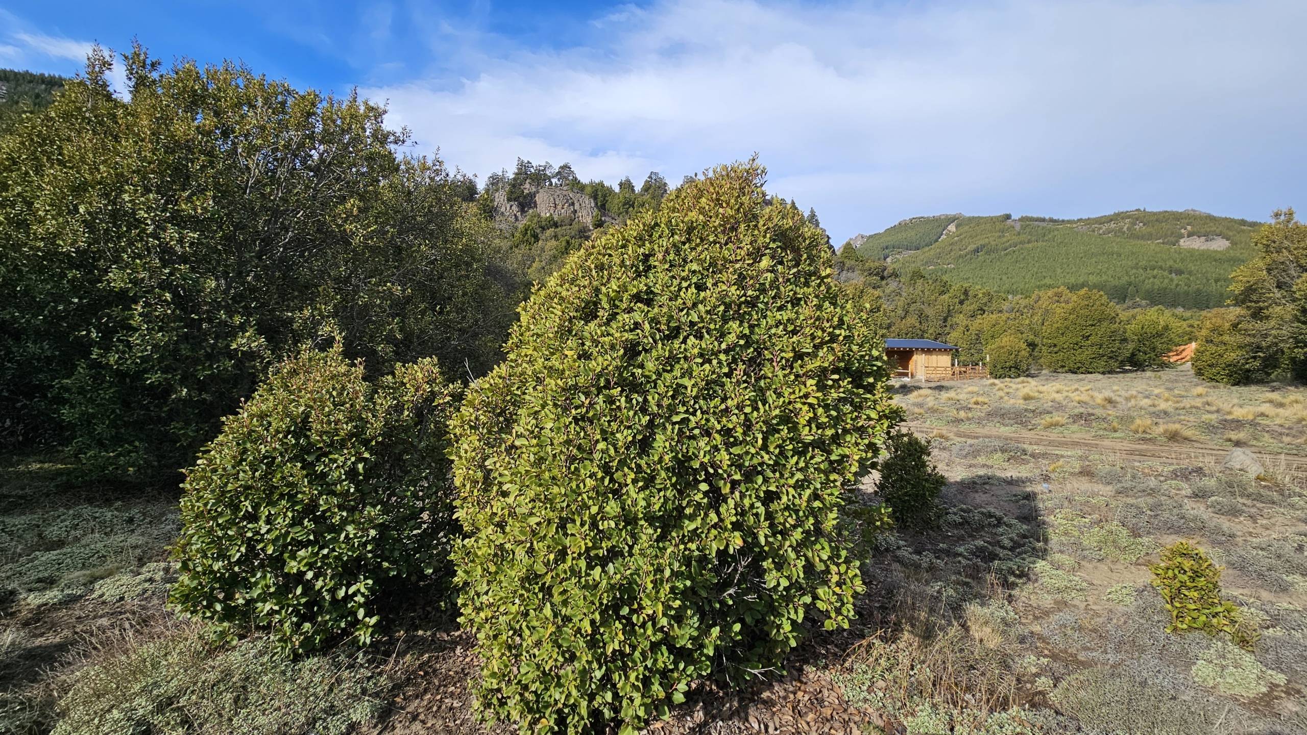 Terreno Lote En Venta En Villa Lago Meliquina, San Martín De Los Andes, Neuquén, Patagonia Argentina