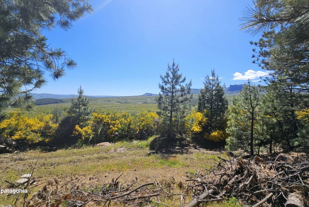 Terreno Lote En Venta En San Martín De Los Andes, Barrio De Montaña El Remanso, Neuquén, Patagonia Argentina