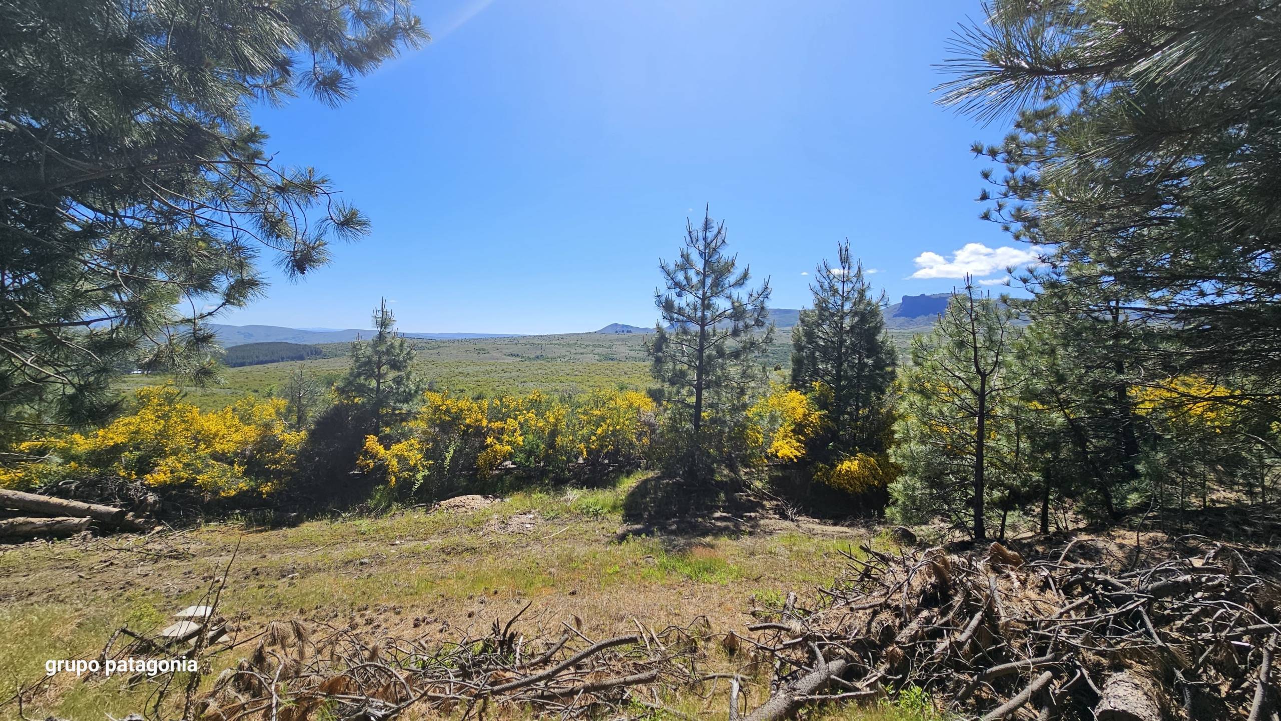 Terreno Lote En Venta En San Martín De Los Andes, Barrio De Montaña El Remanso, Neuquén, Patagonia Argentina