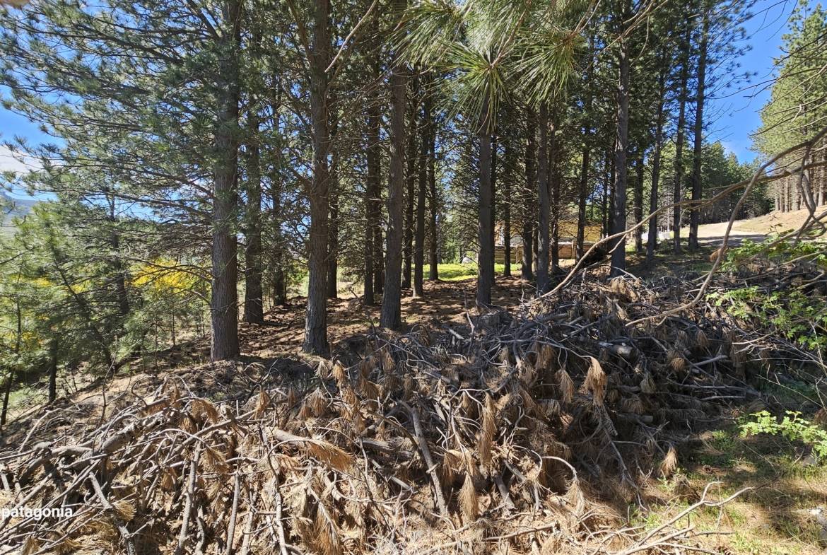 Terreno Lote En Venta En San Martín De Los Andes, Barrio De Montaña El Remanso, Neuquén, Patagonia Argentina