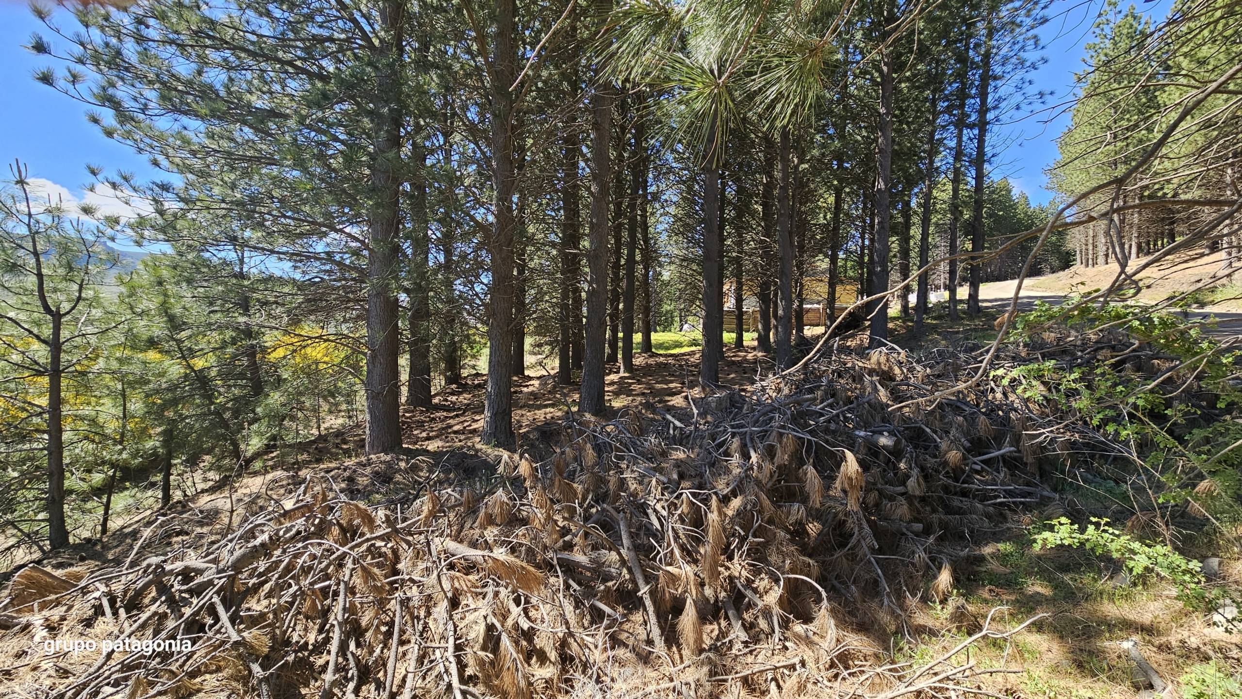 Terreno Lote En Venta En San Martín De Los Andes, Barrio De Montaña El Remanso, Neuquén, Patagonia Argentina