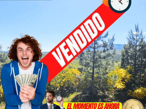lote terreno en venta en barrio el remanso san martin de los andes neuquen patagonia argentina