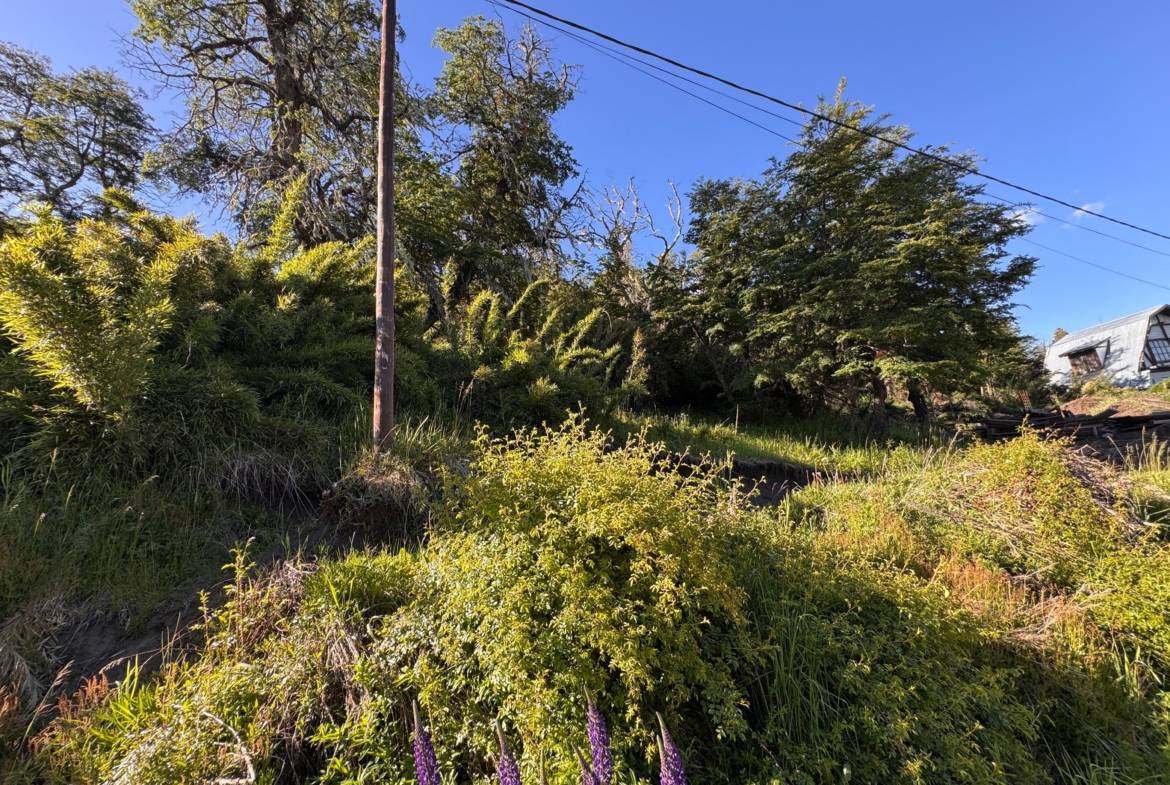 Terreno Lote En Venta En Kaleuche, San Martín De Los Andes, Neuquén, Patagonia Argentina