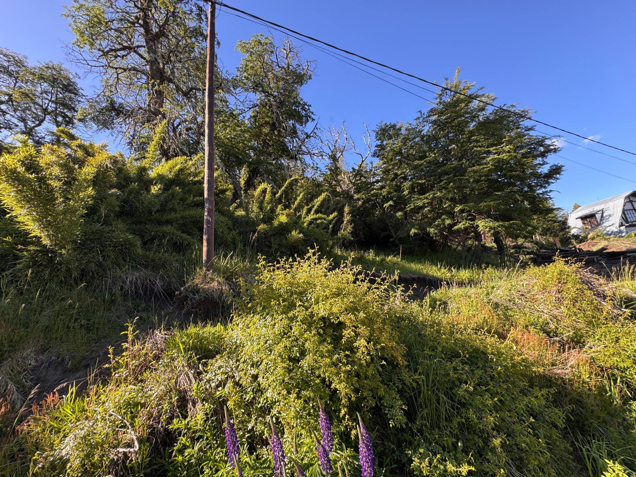 Terreno Lote En Venta En Kaleuche, San Martín De Los Andes, Neuquén, Patagonia Argentina