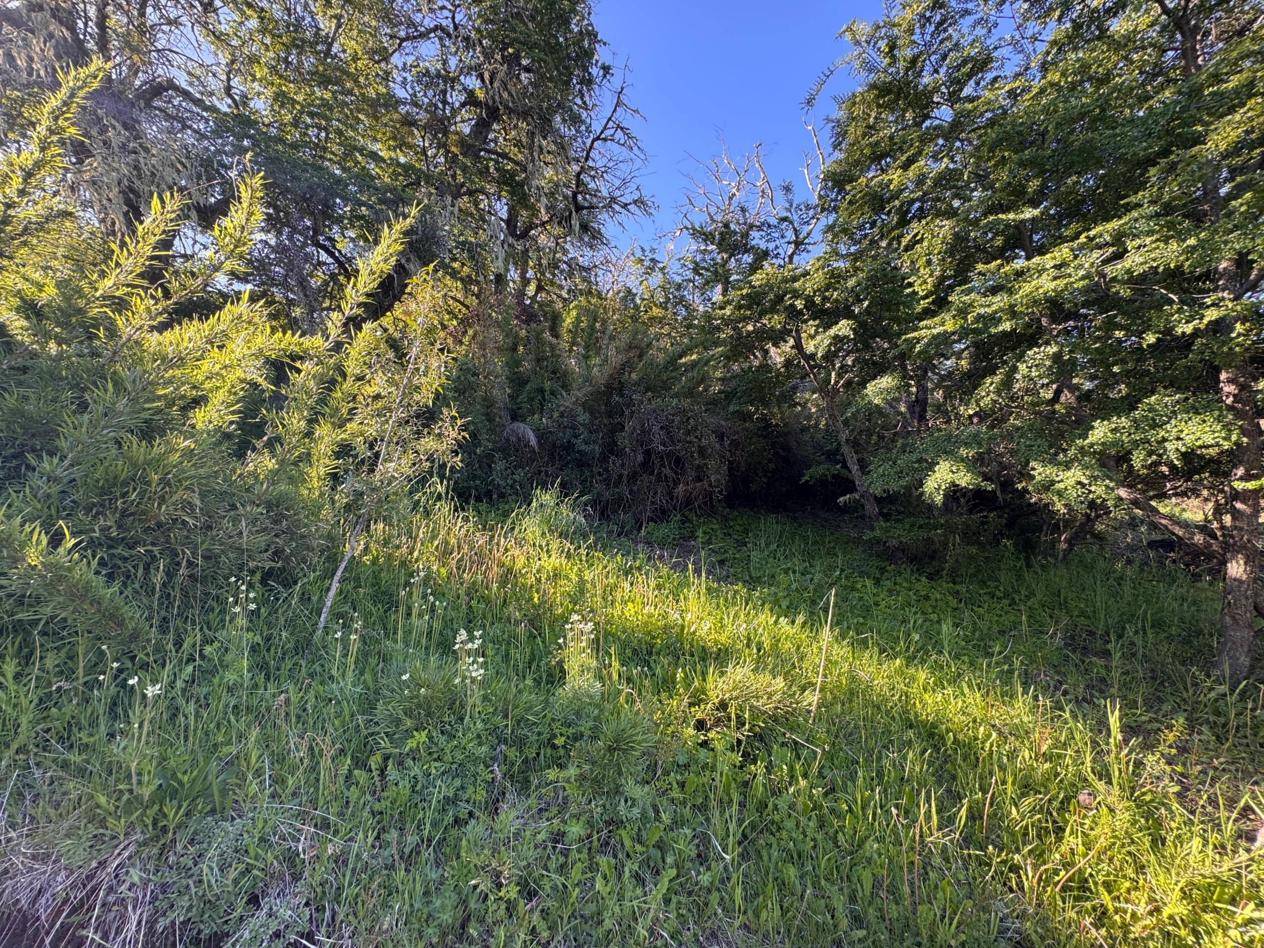 Terreno Lote En Venta En Kaleuche, San Martín De Los Andes, Neuquén, Patagonia Argentina