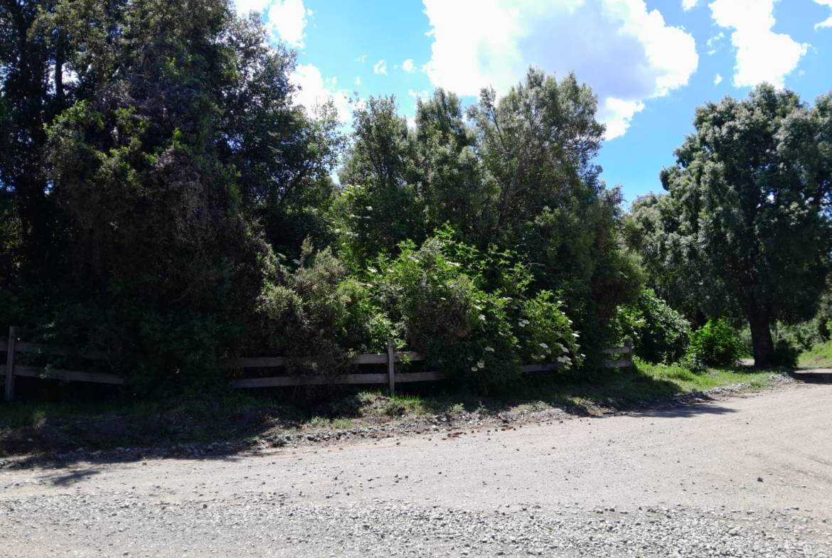 Casa De 3 Habitaciones En Pozo En San Martín De Los Andes, Barrio La Reserva Alta, Neuquén, Patagonia Argentina