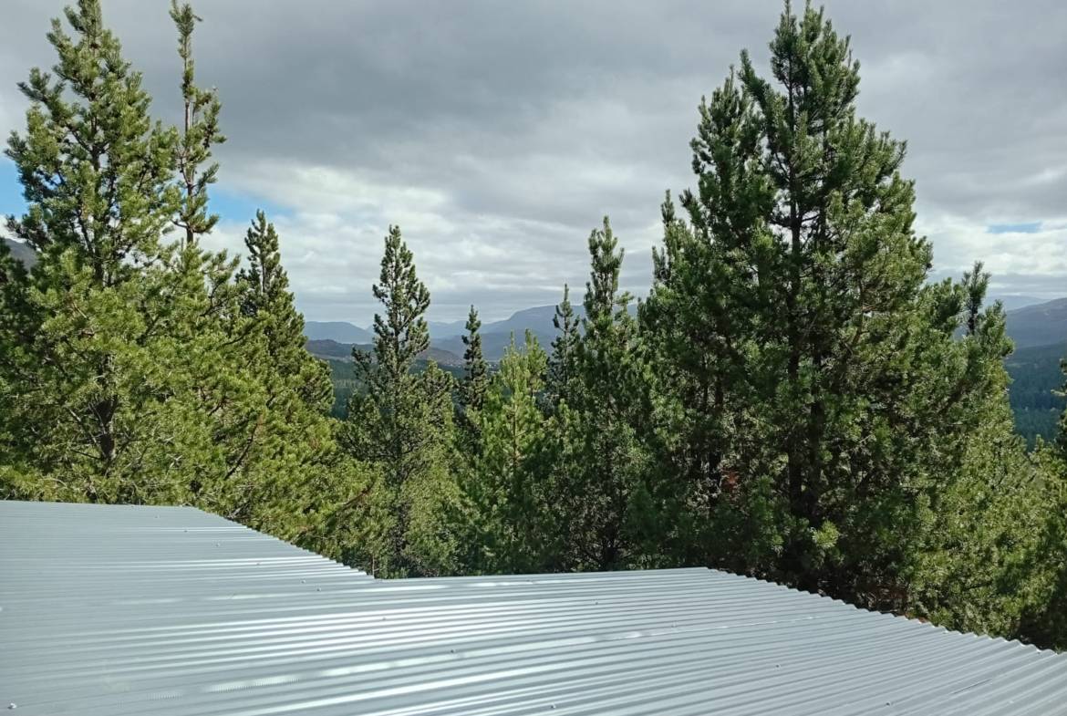 Inversión Inmobiliaria En El Desafío Mountain Resort San Martín De Los Andes Neuquén Patagonia Argentina