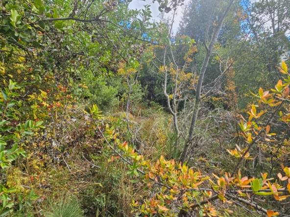 VENTA TERRENO EN BARRIO KALEUCHE ALTO SAN MARTIN DE LOS ANDES!