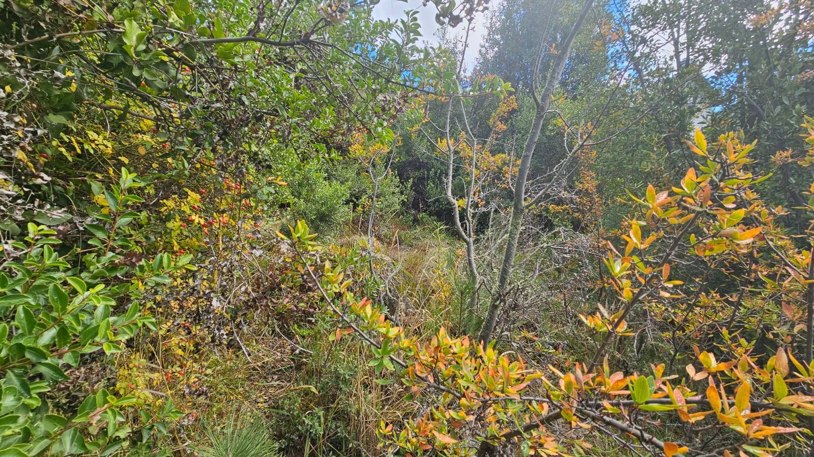 VENTA TERRENO EN BARRIO KALEUCHE ALTO SAN MARTIN DE LOS ANDES!