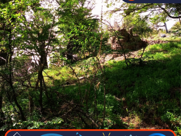 Lote Venta San Martin De Los Andes Miralejos