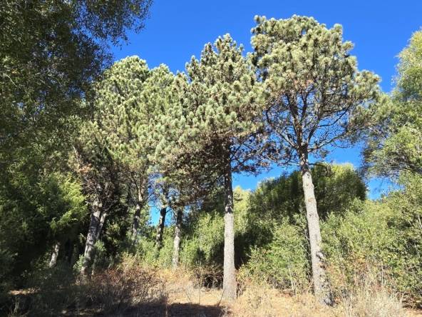 Lote En Venta En Barrio Cerrado La Jauría San Martín De Los Andes