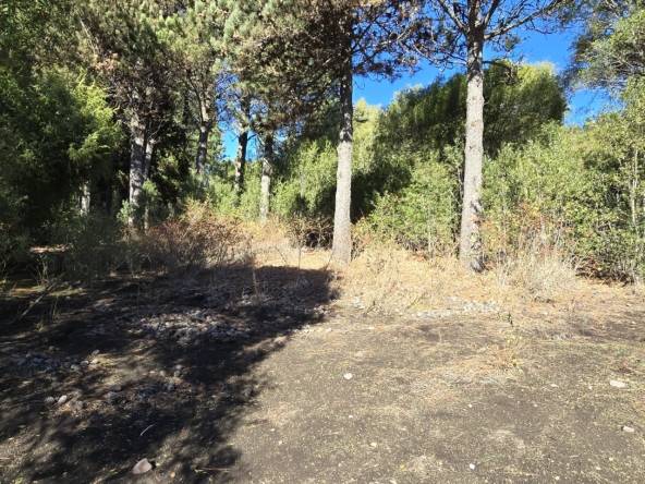 Lote En Venta En Barrio Cerrado La Jauría San Martín De Los Andes