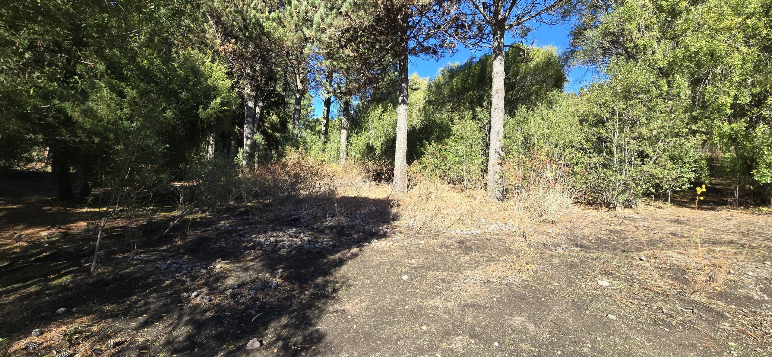 Lote En Venta En Barrio Cerrado La Jauría San Martín De Los Andes