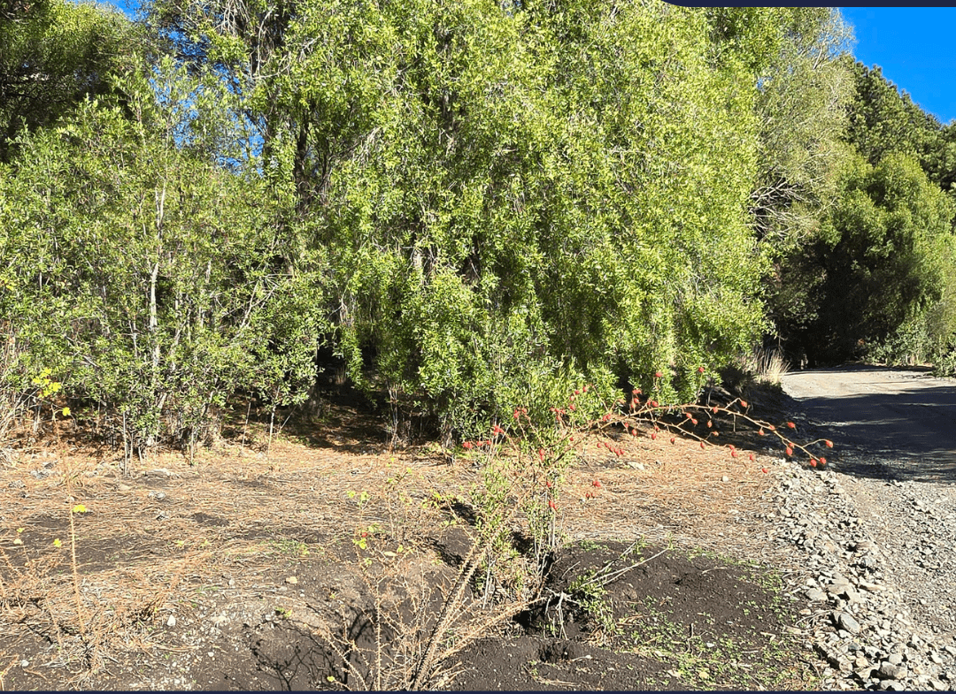 Lote En Venta En Barrio Cerrado La Jauría San Martín De Los Andes
