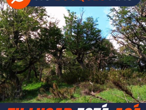 Lote Venta San Martin De Los Andes Miralejos
