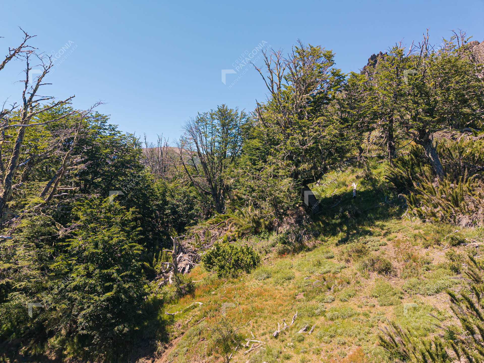 lote terreno en venta en miralejos san martin de los andes neuquen patagonia argentina