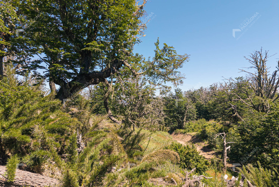 lote terreno en venta en miralejos san martin de los andes neuquen patagonia argentina