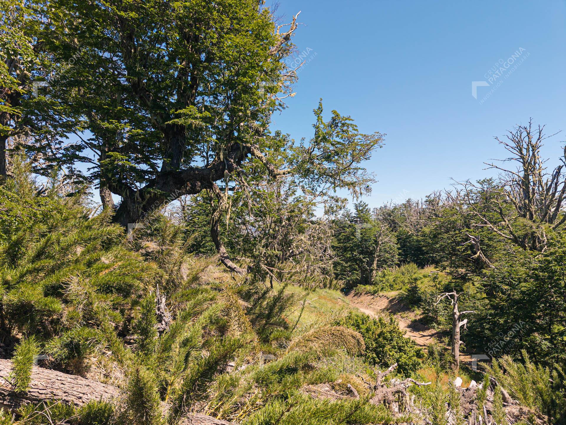 lote terreno en venta en miralejos san martin de los andes neuquen patagonia argentina