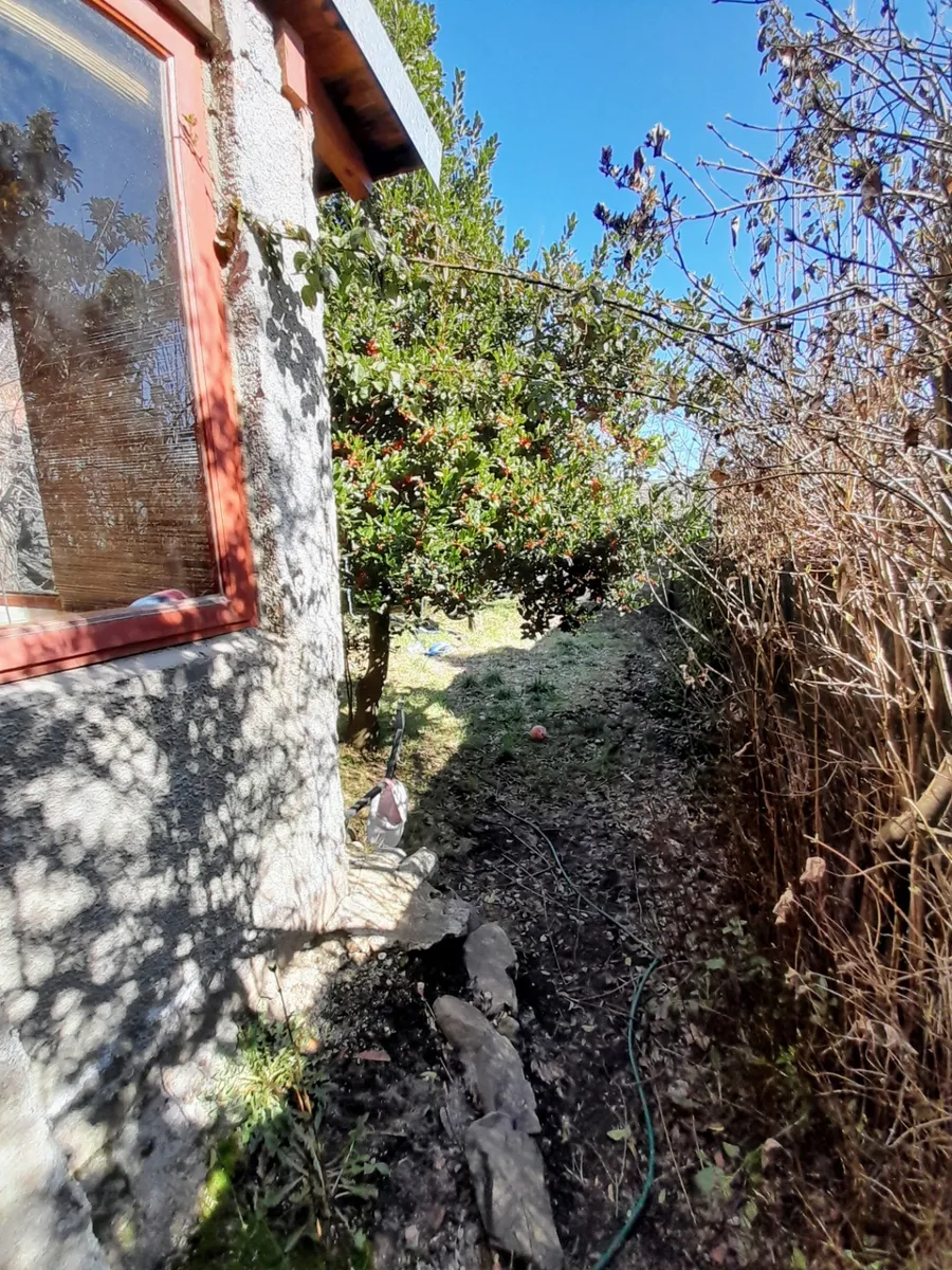 D_NQ_NP_2X_722103-MLA90028790121_082025-F