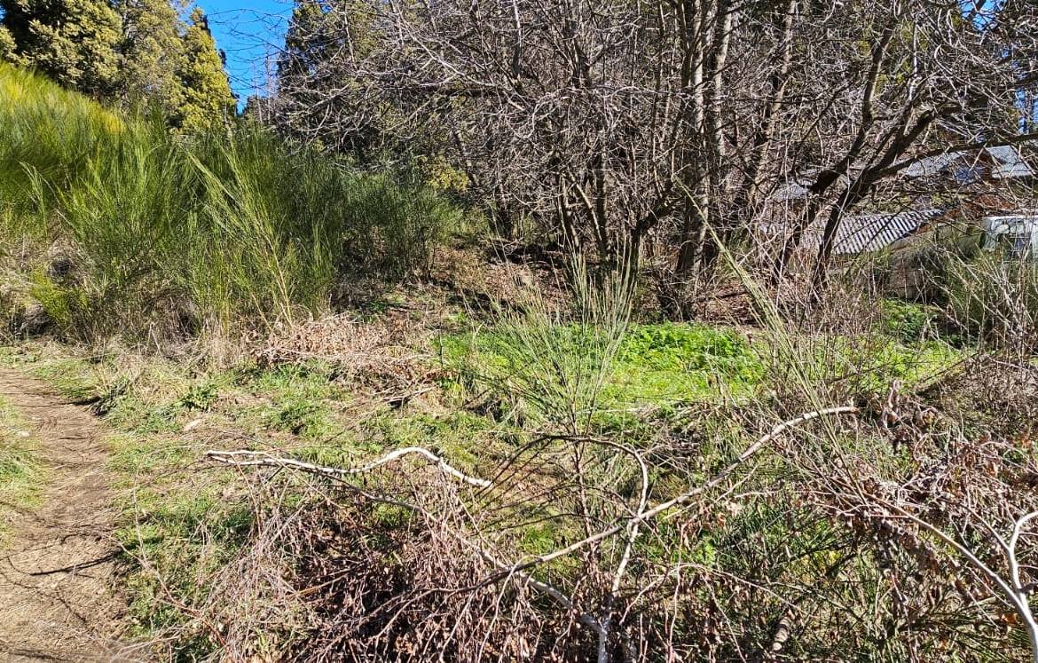 Terreno en venta en barrio el Oasis san Martin de Los andes