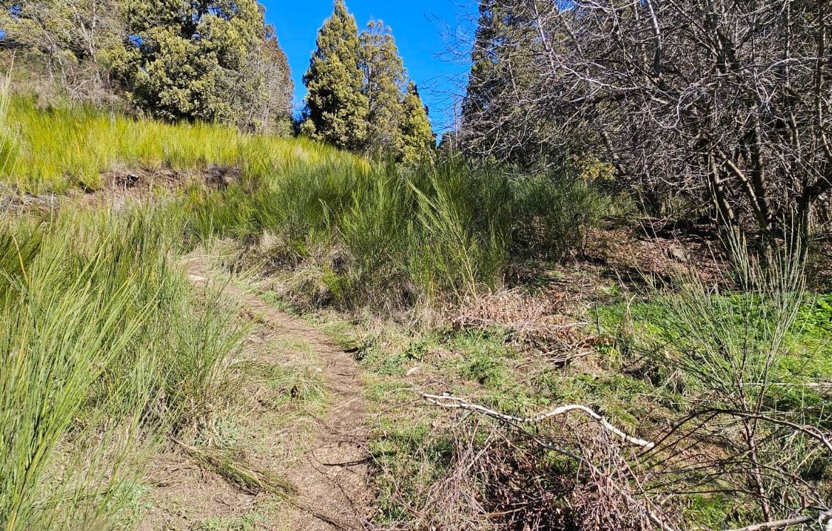 Terreno en venta en barrio el Oasis san Martin de Los andes