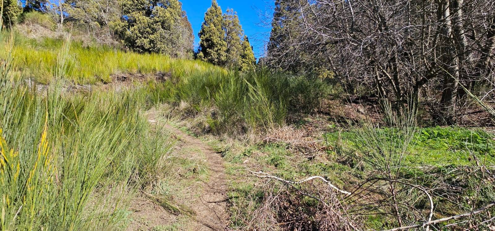 Terreno en venta en barrio el Oasis san Martin de Los andes Terreno en venta en barrio el Oasis san Martin de Los andes