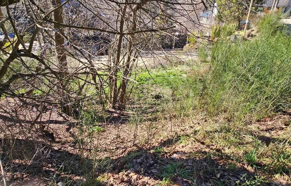 Terreno en venta en barrio el Oasis san Martin de Los andes