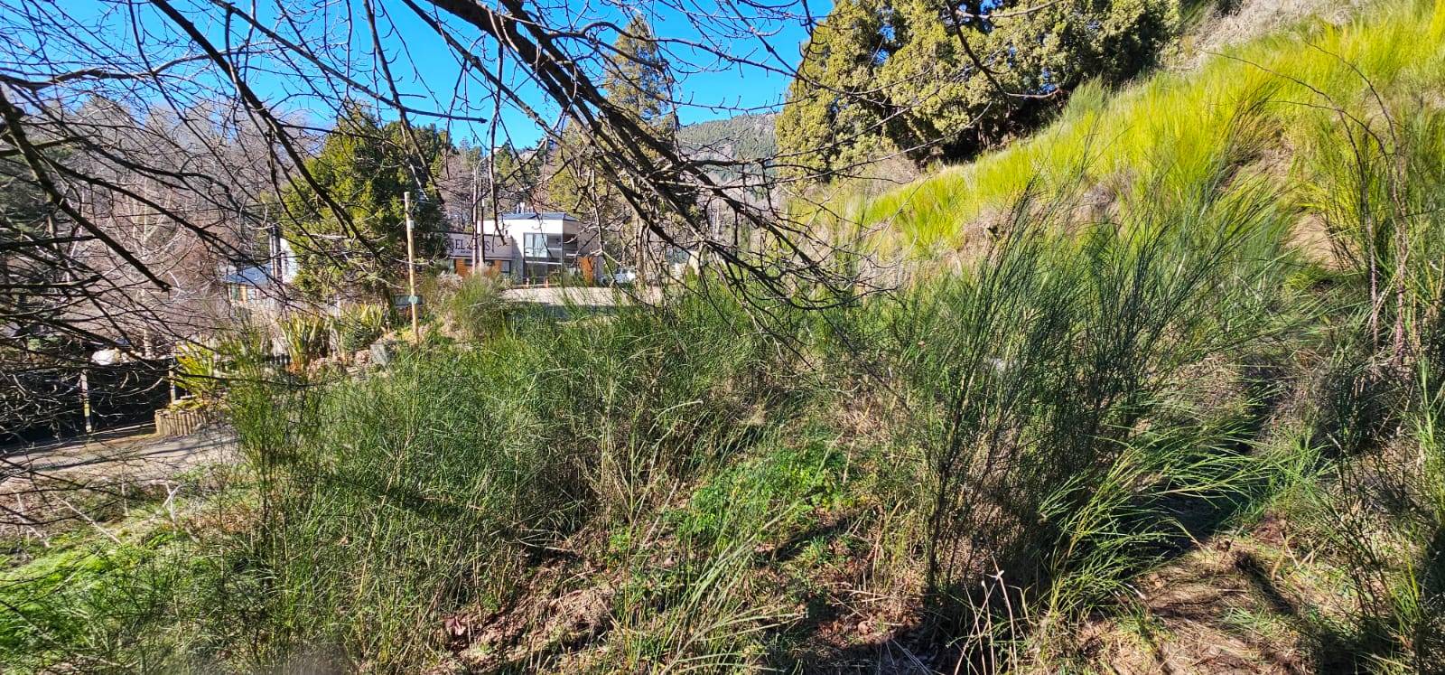 WhatsApp Image 2025-08-08 at 16.15.40 – copia